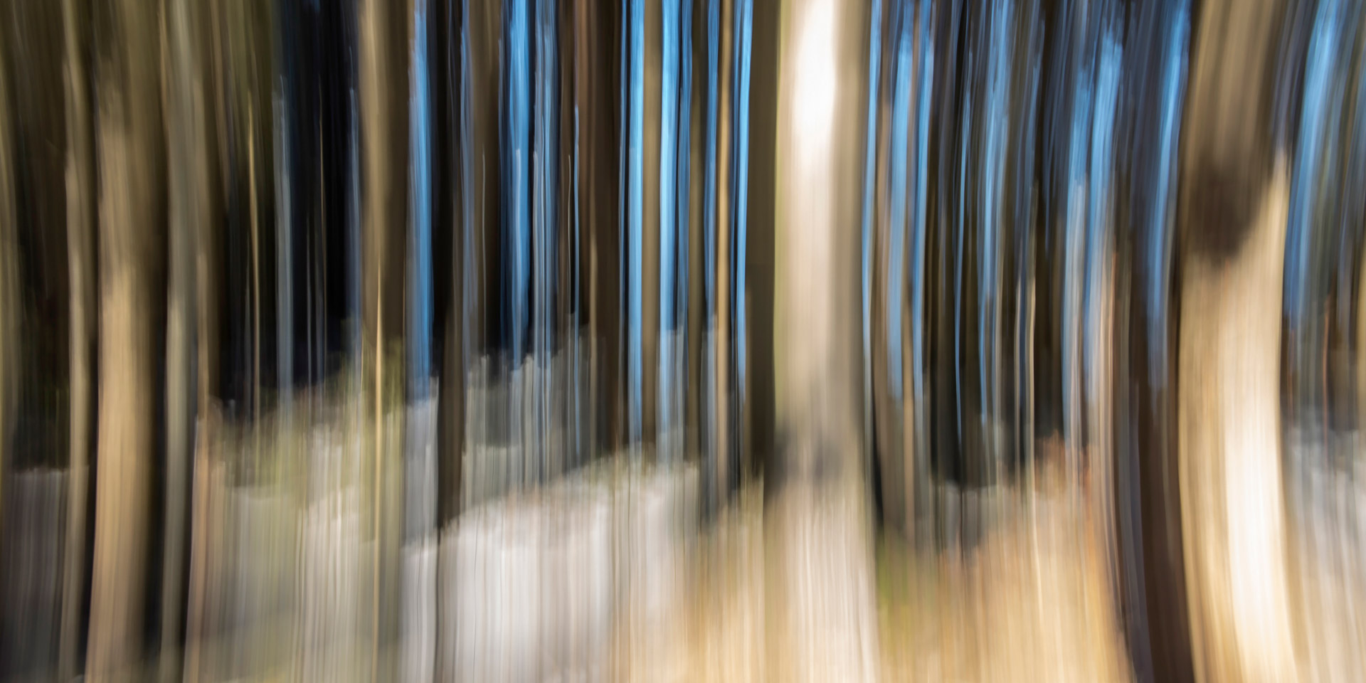 Wood-02 – Bild 5