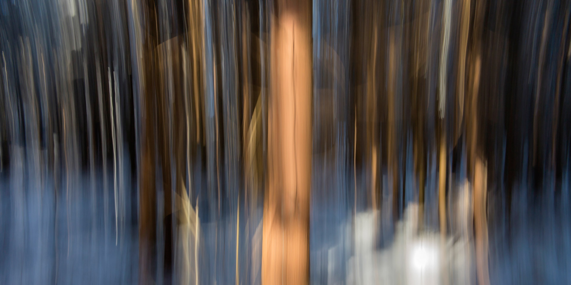 Wood-03 – Bild 5