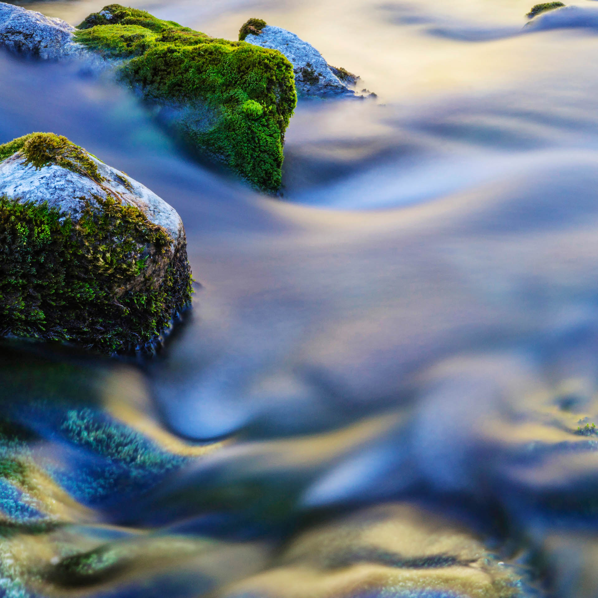 River I – Bild 4