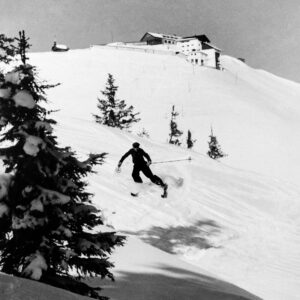 Ski 04 Alpin